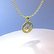 گردنبند طلا مدل ماهی کد ZC10170