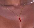 Spicy necklace 🌶️🌶️