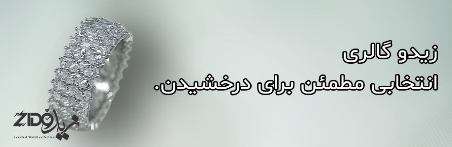 slide-image-0