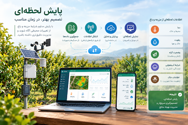 پایش لحظه‌ای
