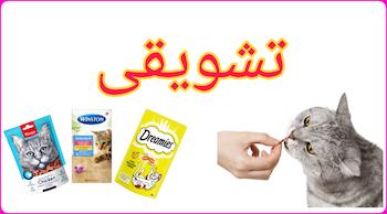 تشویقی گربه
