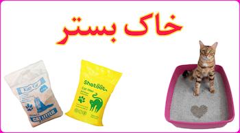 خاک بستر گربه