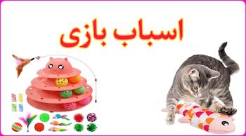 اسباب بازی گربه