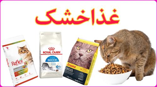 غذاخشک گربه