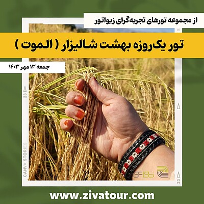  تور یکروزه بهشت شالیزار ( الموت )