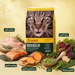 غذای خشک گربه جوسرا مدل نیچرکت Josera NatureCat