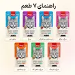 پوچ گربه ونپی چینی نویس